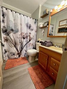 e bagno con tenda per la doccia, servizi igienici e lavandino. di Boomer Bungalow a Boomer