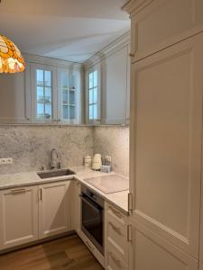Kuchyň nebo kuchyňský kout v ubytování Apartament Antique Pruszków Centrum