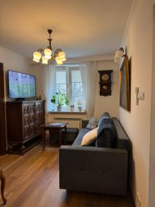 TV a/nebo společenská místnost v ubytování Apartament Antique Pruszków Centrum
