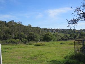a field of grass with trees in the background at Humble family or workers accom in Bombala