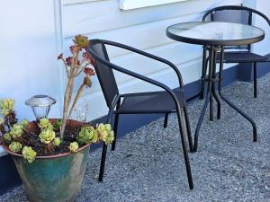 a black chair and a table and a potted plant at Charming Getaway Relax and Unwind in Nelson +2 photos