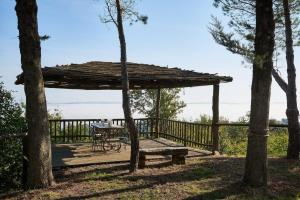 Příroda nedaleko apartmánu + 37 fotografií