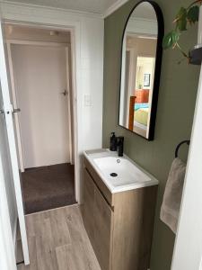 a bathroom with a sink and a mirror at Fieldays & Rowing Event Favourite! in Cambridge