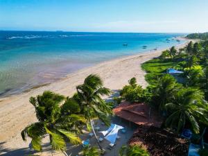 ベラ・クルス・デ・イタパリカにあるCasa de Praia na Ilha - Barra do Poteのヤシの木と海のあるビーチの航空写真