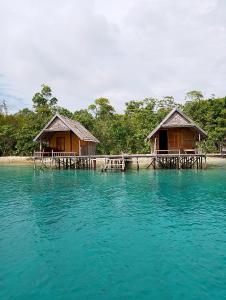 Příroda nedaleko prázdninového domu + 87 fotografií