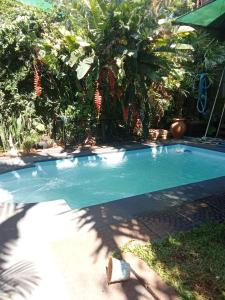 a swimming pool in a yard with plants at Alojamiento nayla y yaya in Puerto Iguazú