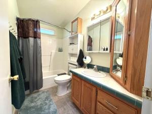 a bathroom with a toilet and a sink and a shower at Home near Zion with private hot tub Sleeps 10 in Kanab