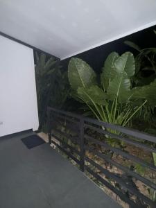 MuelleScala Inn的相册照片