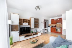 sala de estar con sofá y TV y cocina en ER14 Erkel utca 14 A - lovely studio with terrace, en Budapest