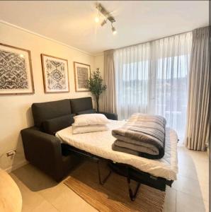a bed in a room with a couch and a window at Departamento en Algarrobo in Algarrobo +44 photos