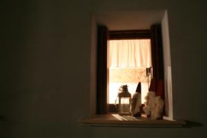 Zwierzęta zatrzymujące się w obiekcie Il Capriolo Felice - Agriturismo