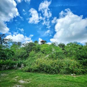a hill with a house on top of it at Hacienda San Antonio in Kanasín