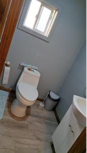 a bathroom with a toilet and a sink and a window at Zenteno Osorno Apartment in Osorno
