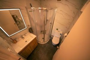 a bathroom with a shower and a toilet and a sink at Peace and quiet on the beautiful North Shore in Auckland +7 photos