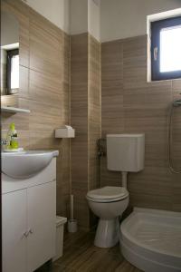 La salle de bains est pourvue de toilettes et d'un lavabo. dans l'établissement Pensiunea Margareta, à Budeasa Mică