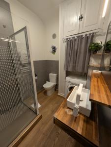 une salle de bain avec une douche, un lavabo et des toilettes dans l'établissement Appartement au cœur du centre ville de Blois, à Blois 37 autres photos