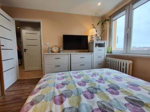 a bedroom with a bed and a flat screen tv at Apartament w centrum Helu in Hel