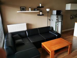 Ruang duduk di Apartmány Doky Lipno A9 a D1