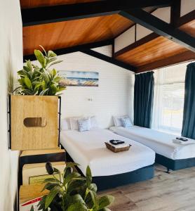 安特兰斯Jetty Motel The Entrance的一间有两张床的房间 更多37张照片