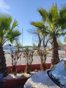 Gallery image of Mobil home 6 place a 900 mètres de la plage in Agde +13 photos