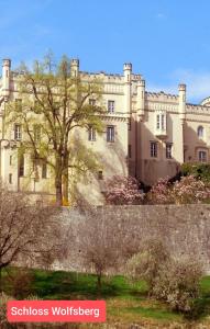 a large castle with a tree in front of it at Olmhaus mit Sauna und E-Bikes in Obergösel