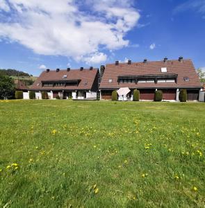 une grande maison avec un champ d'herbe et de fleurs dans l'établissement Gemütliches Ferienreihenhaus mit Holzkamin im Schwarzwald, à Bernau im Schwarzwald