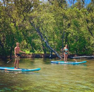 a man and a woman on paddle boards in the water at Snorkel in Islamorada's Clear Blue Waters in Islamorada +22 photos