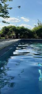 a bird flying over a road with water at La Cachette des Amoureux in Bruniquel