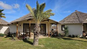 Zahrada ubytování EL DELFÍN VERDE RESORTS - Platja d'Aro