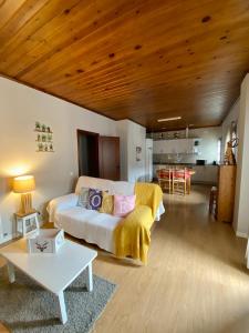 een woonkamer met een bank en een tafel bij Apartaments Alta Muntanya in Barruera +92 foto's