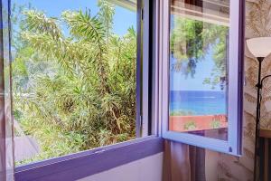 a window with a view of a palm tree at Villa Vue-Belle in Saint-Paul