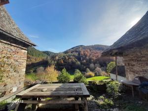 a picnic table in a garden with a view of a mountain at Tiny House - La Foret du Dragon in Murols
