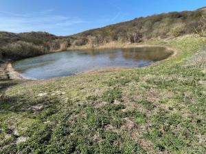 a small pond of water in a field at ZeeBedStay in Noordwijk aan Zee