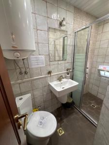 a small bathroom with a toilet and a sink at Frumuseţe in Veliko Tŭrnovo +15 photos