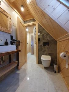 a bathroom with a white toilet and a sink at Osada Bajka in Murzasichle +23 photos