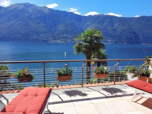 Φυσικό τοπίο κοντά σε αυτό το διαμέρισμα +6 φωτογραφίες