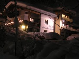 Appartement Schaubensteiner v zime