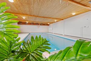 an indoor swimming pool with a large ceiling at Osean by BLOSS luxe appartement met frontaal zeezicht, binnenzwembad en parking in Middelkerke