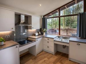 Η κουζίνα ή μικρή κουζίνα στο Beddgelert Cabins, Snowdonia - Forest Holidays