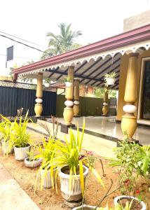 a row of potted plants in front of a house at Villa Serenity in Negombo