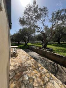 a stone walkway with a bench and a tree at Kouris Apartment Garden View in Chlomatianá +5 photos