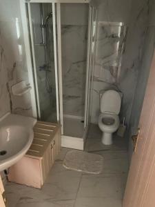 a bathroom with a shower and a toilet and a sink at Villa Rose in Višnjan +4 photos