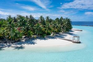 an island in the middle of the ocean with palm trees at Niva Kurumba Maldives in Male City