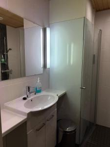 a bathroom with a sink and a glass shower at Kylpyla SPA, Saimaa Villa 532 in Imatra +3 photos