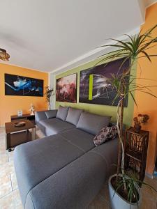 a living room with a couch and a potted plant at Apartmán Úlehla 2 in Zlín