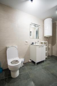 a bathroom with a toilet and a sink and a mirror at Loft Entero Centro Alicante in Alicante +27 photos