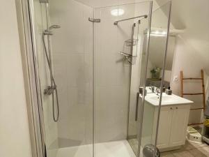 a bathroom with a glass shower and a sink at Gîte confortable avec Wi-Fi, proche Zoo de Beauval et châteaux de la Loire - FR-1-491-458 in Meusnes +21 photos