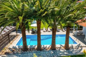 a group of palm trees next to a swimming pool at Albero Villa Polychrono in Polychrono