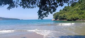a view of a beach with trees and the ocean at Casa da Aninha na Prainha - Valor para 4 pessoas in Paraty +9 photos