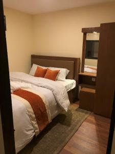 a bedroom with a large bed and a mirror at Zenith Apartments Thamel - Manaslu 1BHK Apartment in Kathmandu